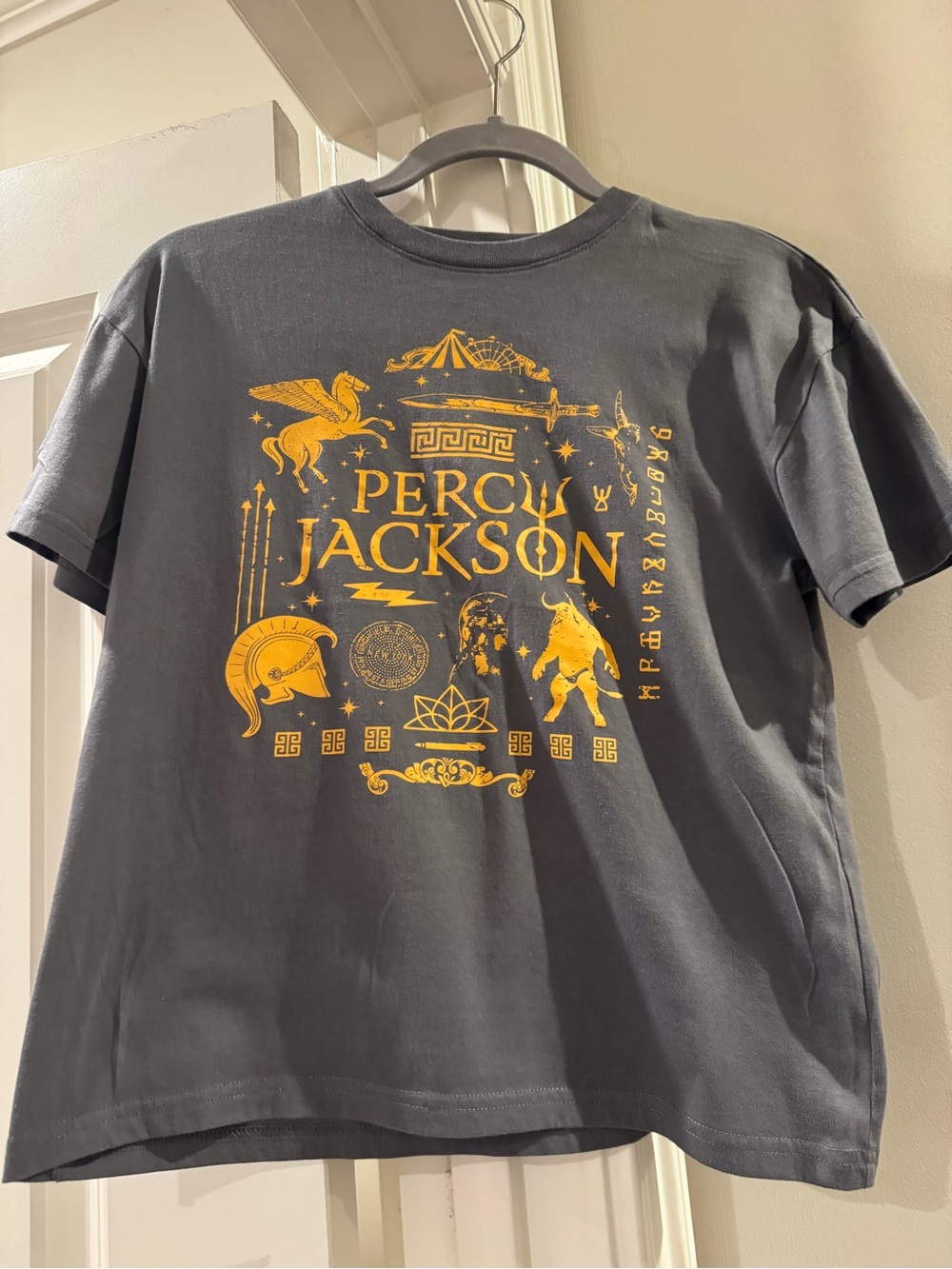 Disney Percy Jackson Short Sleeve Tee - Charcoal Gray with Yellow Graphic